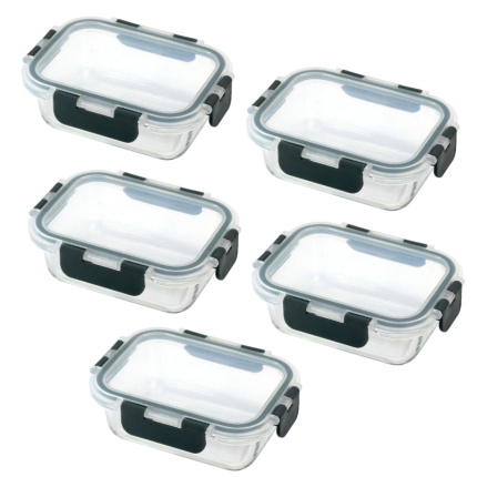 Ceruzo Meal Prep Bakjes – 5 Stuks – Glas | Luchtdicht, Lekvrij & Magnetronbestendig
